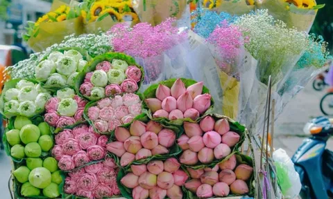 Dự báo thời tiết ngày 28/9/2024: Hà Nội ngày nắng, gió nhẹ