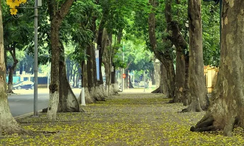 Dự báo thời tiết ngày 2/10/2024: Bắc Bộ trời mát, có mưa dông