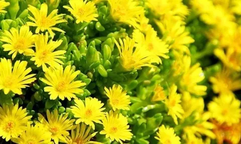 Dự báo thời tiết ngày 11/10/2024: Hà Nội sáng sớm có sương mù, ngày nắng