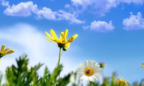 Dự báo thời tiết ngày 18/10/2024: Bắc Bộ trưa chiều trời nắng, gió nhẹ