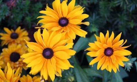 Dự báo thời tiết ngày 22/10/2024: Bắc Bộ mưa rào và dông