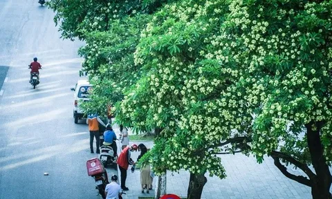 Dự báo thời tiết ngày 23/10/2024: Hà Nội mưa rào, gió đông bắc cấp 3