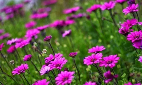 Dự báo thời tiết ngày 24/10/2024: Bắc Bộ ngày nắng, đêm không mưa