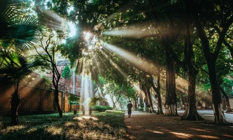 Dự báo thời tiết ngày 25/10/2024: Bắc Bộ sáng sớm có sương mù, ngày nắng