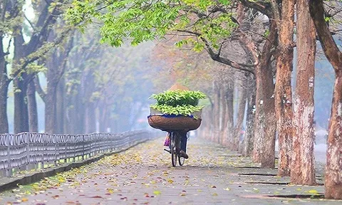 Dự báo thời tiết ngày 6/11/2024: Bắc Bộ nhiều mây, vùng núi có nơi dưới 17 độ C