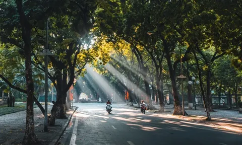 Dự báo thời tiết ngày 9/11/2024: Bắc Bộ rét về đêm và sáng sớm