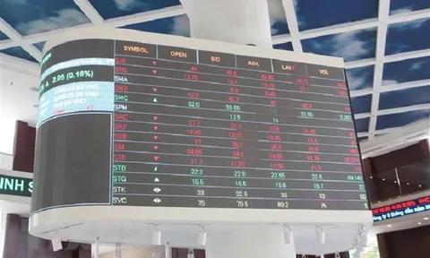 7 mã cổ phiếu bị HoSE đưa vào diện kiểm soát