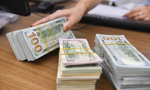 Tỷ giá USD hôm nay 6/10: Đột ngột tăng mạnh trở lại