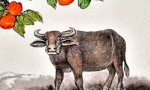 Tử vi tuần mới 10/10-16/10: Thìn phát lộc mạnh nhất, Ngọ chớ chủ quan