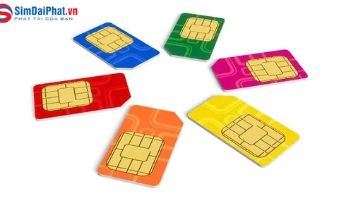 Lý do Sim số đẹp Vietnamobile lại được yêu thích hiện nay