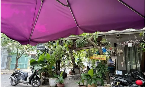 Quận Tân Phú-TP.HCM: Ngang nhiên chiếm dụng công viên làm nơi buôn bán