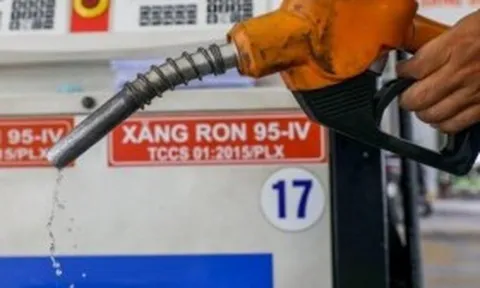 Giá xăng dầu hôm nay 11/8: Tiếp tục tăng giảm trái chiều, giá xăng tại Việt Nam chiều nay sẽ như thế nào?