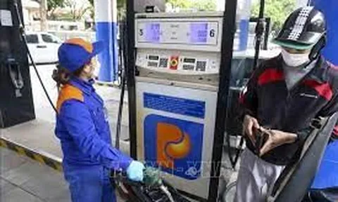 Giá xăng dầu hôm nay 20/8: Đồng loạt lao dốc phiên cuối tuần