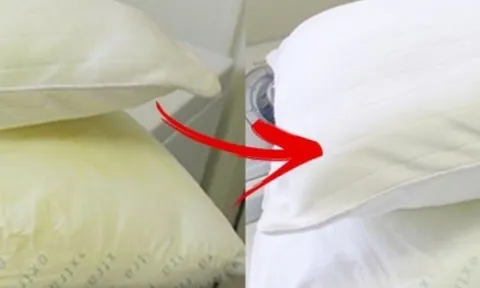 Ruột gối bị ố vàng đem ngâm ngay với thứ này, bẩn đến mấy cũng sạch tinh tươm như mới