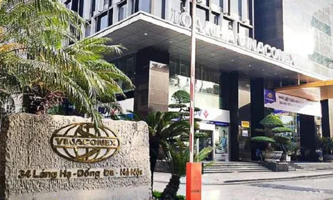 Nhờ những tín hiệu tích cực, cổ phiếu của Vinaconex bật tăng bất ngờ
