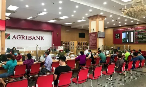 Đất biệt thự ven Hồ Tây được ngân hàng rao bán chỉ gần 300 triệu/m2