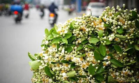 Bản tin thời tiết ngày 14-4-2023: Miền Bắc có mưa rào và dông rải rác vào ban đêm