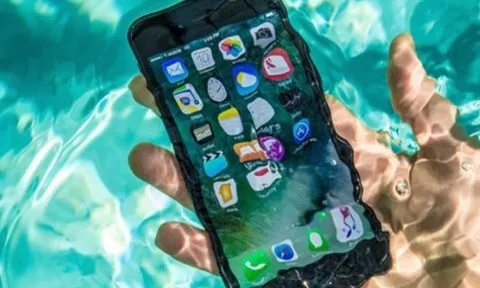 iPhone vẫn “sống sót” sau một năm “ngủ” dưới đáy hồ nước