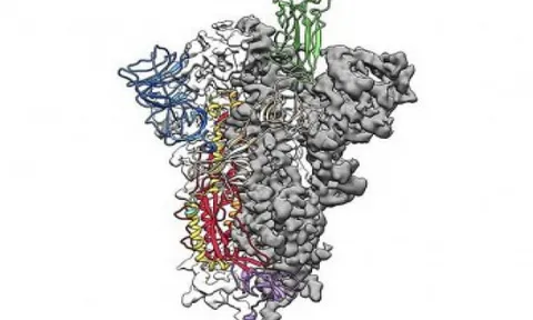 Mỹ tuyên bố có thể sớm cung cấp thuốc điều trị virus SARS-CoV-2