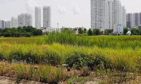 Hà Nội yêu cầu xác định lại giá đất những dự án đã thu hồi quá 12 tháng