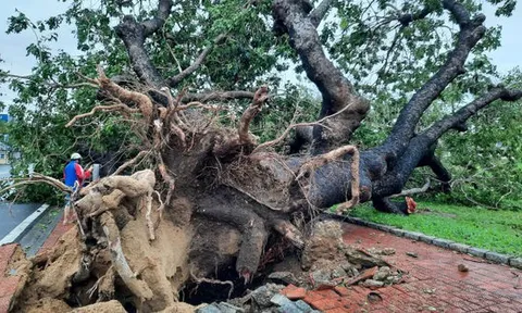 19 người bị thương, 1.500 ngôi nhà tốc mái do ảnh hưởng của bão số 13