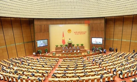 Chính thức thu phí thu gom rác thải sinh hoạt từ cuối năm 2024