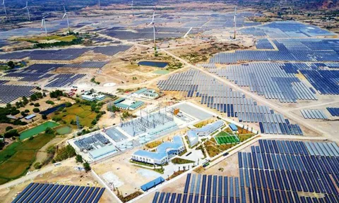 Dồn dập đầu tư năng lượng tái tạo, bỏ ngỏ hệ lụy môi trường