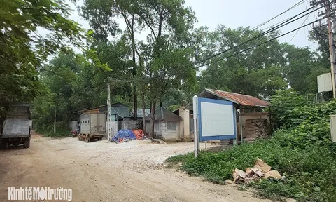 Hà Nội: Người dân 'kêu trời' vì hàng loạt trang trại lợn gây ô nhiễm môi trường