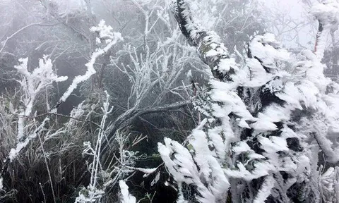 Đợt rét đậm, rét hại sắp tới vùng núi khả năng xuất hiện mưa tuyết