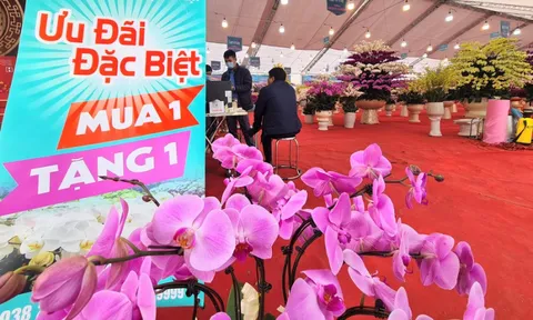 Chuyện lạ trên thị trường hoa Tết: Ồ ạt xả hàng như đêm 30, mua 1 tặng 1
