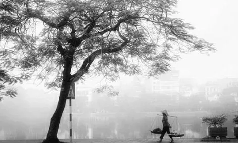 Gió mùa Đông Bắc tràn về, trời chuyển lạnh