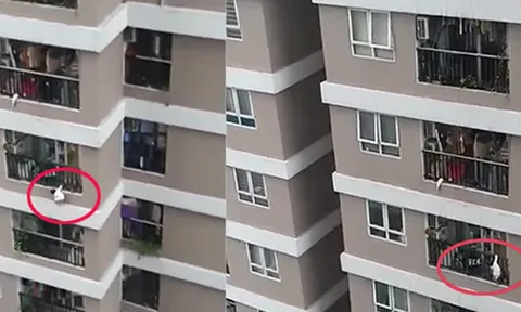 Từ vụ việc em bé trèo lan can rơi từ tầng 13, xét lại thiết kế và xây dựng ban công và lô gia chung cư cao tầng: Đừng để mất bò mới lo làm chuồng!