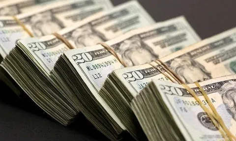 Tỷ giá USD ngày 1/3: Thị trường 'chợ đen' đạt gần 24.000 đồng