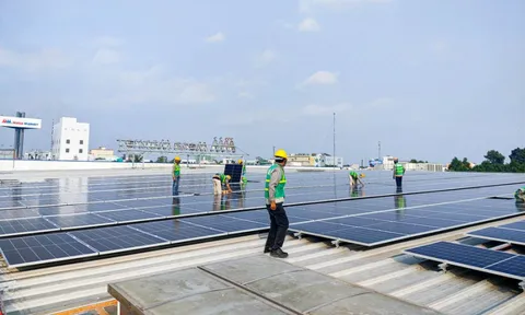 12 siêu thị MM Mega Market sắp lắp pin mặt trời mái nhà, tự chủ 30% nhu cầu sử dụng điện