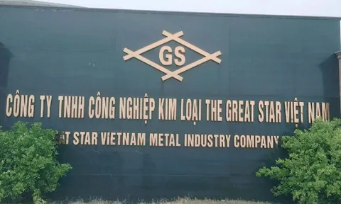 Công ty The Great Star Việt Nam bị xử phạt gần 500 triệu đồng vì gây ô nhiễm môi trường