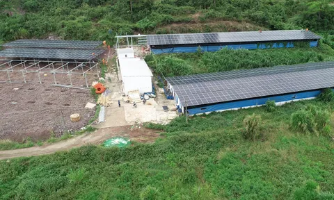 Điện mặt trời mái nhà ‘núp bóng’ dự án nông nghiệp: EVN nói gì?