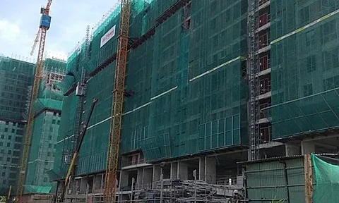 Đất Xanh thay Tổng giám đốc, có xoá 'vết đen' vi phạm pháp luật?