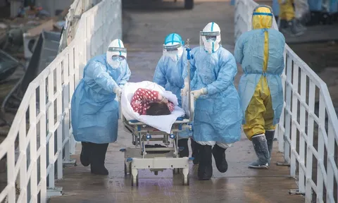 Biến đổi khí hậu có làm virus trở nên 'đáng sợ hơn'?