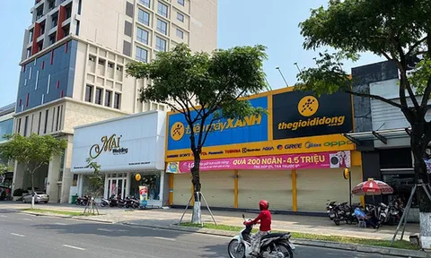 Cổ phiếu MWG giảm sàn mất 14% sau thông tin một nhân viên nhiễm Covid-19