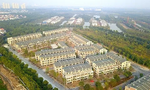 Vì sao Đại Hưng ‘phù phép’ lấy đất thuê 50 năm làm dự án Sago Palm Garden?