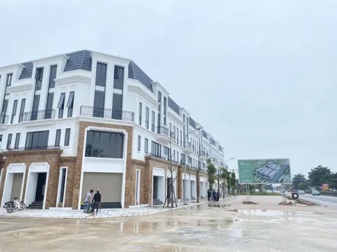 Thanh Hóa: Hơn 29.000 m2 đất công giao cho Công ty Hải Hà không qua đấu giá