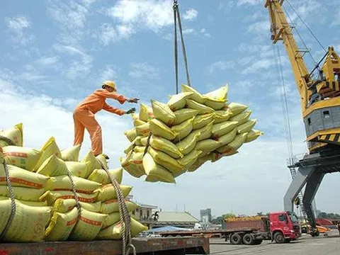 Giá gạo xuất khẩu Việt Nam đang ở mức thấp nhất hơn 1 năm qua