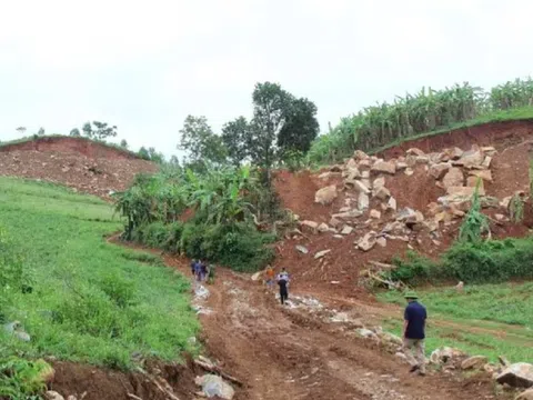 Nghệ An: Bắt giữ 4 nhóm đối tượng khai thác trái phép hơn 1 nghìn tấn đá