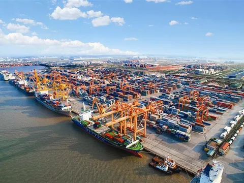 Phí cảng biển - doanh nghiệp đề xuất giảm gần 95%