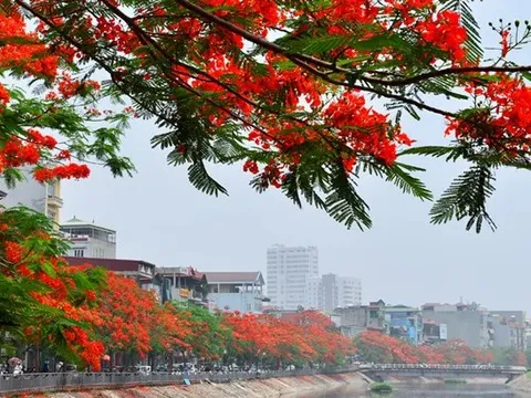 Dự báo thời tiết ngày 22/5/2024: Bắc Bộ ngày nắng, chiều tối mưa rào