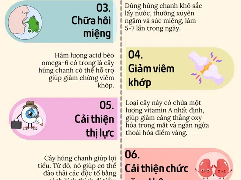 [Infographic] 9 lợi ích sức khỏe của húng chanh