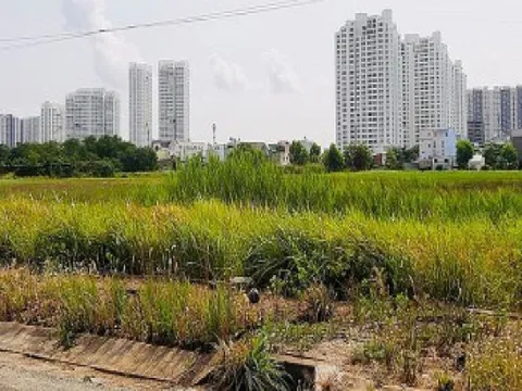 Hà Nội yêu cầu xác định lại giá đất những dự án đã thu hồi quá 12 tháng