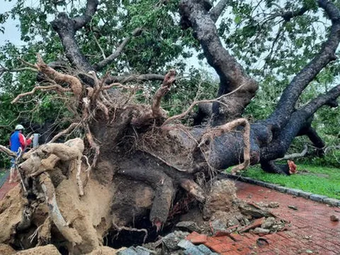 19 người bị thương, 1.500 ngôi nhà tốc mái do ảnh hưởng của bão số 13