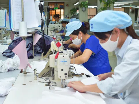 Vingroup muốn thoái bớt vốn tại Tập đoàn dệt may Việt Nam sau 7 năm đầu tư, tỷ suất sinh lời 60%