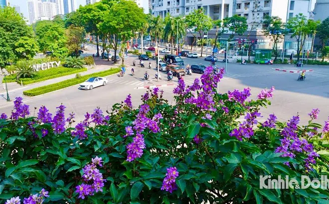 Bản tin thời tiết ngày 15-5-2023: Hà Nội nhiều mây, mát mẻ ngày đầu tuần